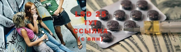 сатива Мегион