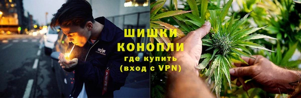 бошки Медногорск