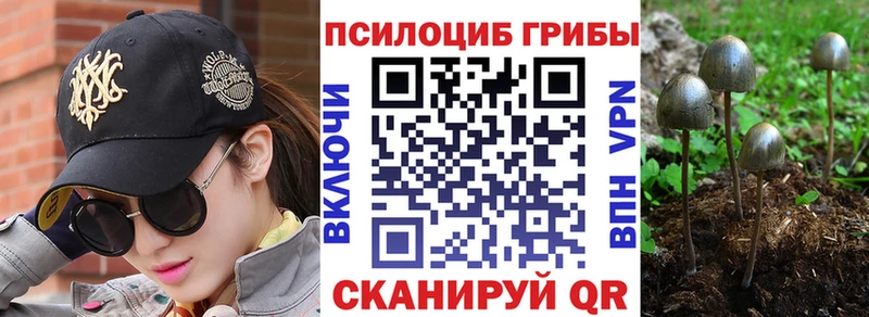 Псилоцибиновые грибы Magic Shrooms  Азнакаево 